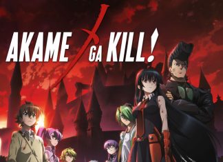 Anime Review: Akame Ga Kill – The Complete Collection