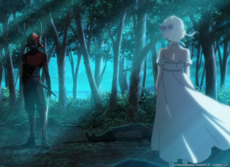 Breaking News: Fena: Pirate Princess Comes to Toonami on August 14